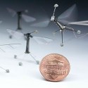 Image - Robotic insects make first controlled flight