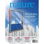 Image - Researchers raise the IQ of smart windows