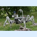Image - Nature-Inspired Robotics Powered by DC Micro-motors