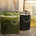 Image - Algae to crude oil: Million-year natural process takes minutes in the lab