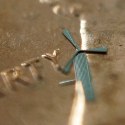 Image - Micro-windmills built to recharge cell phones, provide harvested power for other electronics