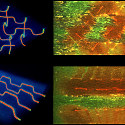 Image - Repeated self-healing is now possible in composite materials