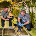 Image - Wings: <br>Structural health monitoring takes a step forward with in-flight sensor tests