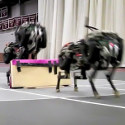 Image - MIT cheetah robot clears hurdles at 5 mph