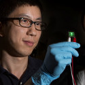 Image - Researchers create cheaper, high-performing LED