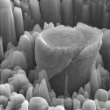 Image - Magnesium + ceramic = super-strong new metal nanocomposite