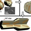 Image - Carbon nanotubes improve metal's longevity under radiation