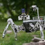 Image - Robotics inspired by nature: <br>Coreless DC motor applications