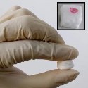 Image - New ceramic nanofiber �sponges' could be used for flexible insulation, water purification
