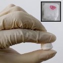 Image - New ceramic nanofiber sponges' could be used for flexible insulation, water purification