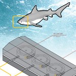 Image - FUTEK mini load cells take on Shark Week