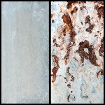 Image - New type of corrosion protection for galvanized steel is self-healing