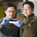 Image - Super wood is stronger than most metals