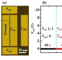 Image - Diamond-based circuits take the heat for advanced applications