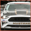 Image - Made for racing: Ford 50th Anniversary Mustang Cobra Jet