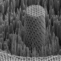 Image - Nickel 'metallic wood' has the strength of titanium and the density of water