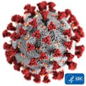 Image - Good Reads: Biz and world views on Covid-19 (coronavirus)