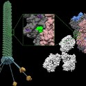 Image - Scientists developing inhalable COVID-19 vaccine spray