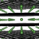 Image - Scientists identify another reason why EV batteries can't charge in minutes