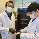 Image - Rubber material may hold key to long-lasting, safer EV batteries
