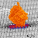 Image - Anti-dust tech paves way for self-cleaning surfaces