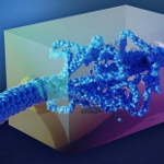 Image - Can electricity flow without electrons?