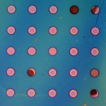 Image - New lightweight polymer film can prevent corrosion